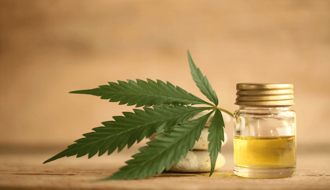 Cannabis Blatt und Extrakt 