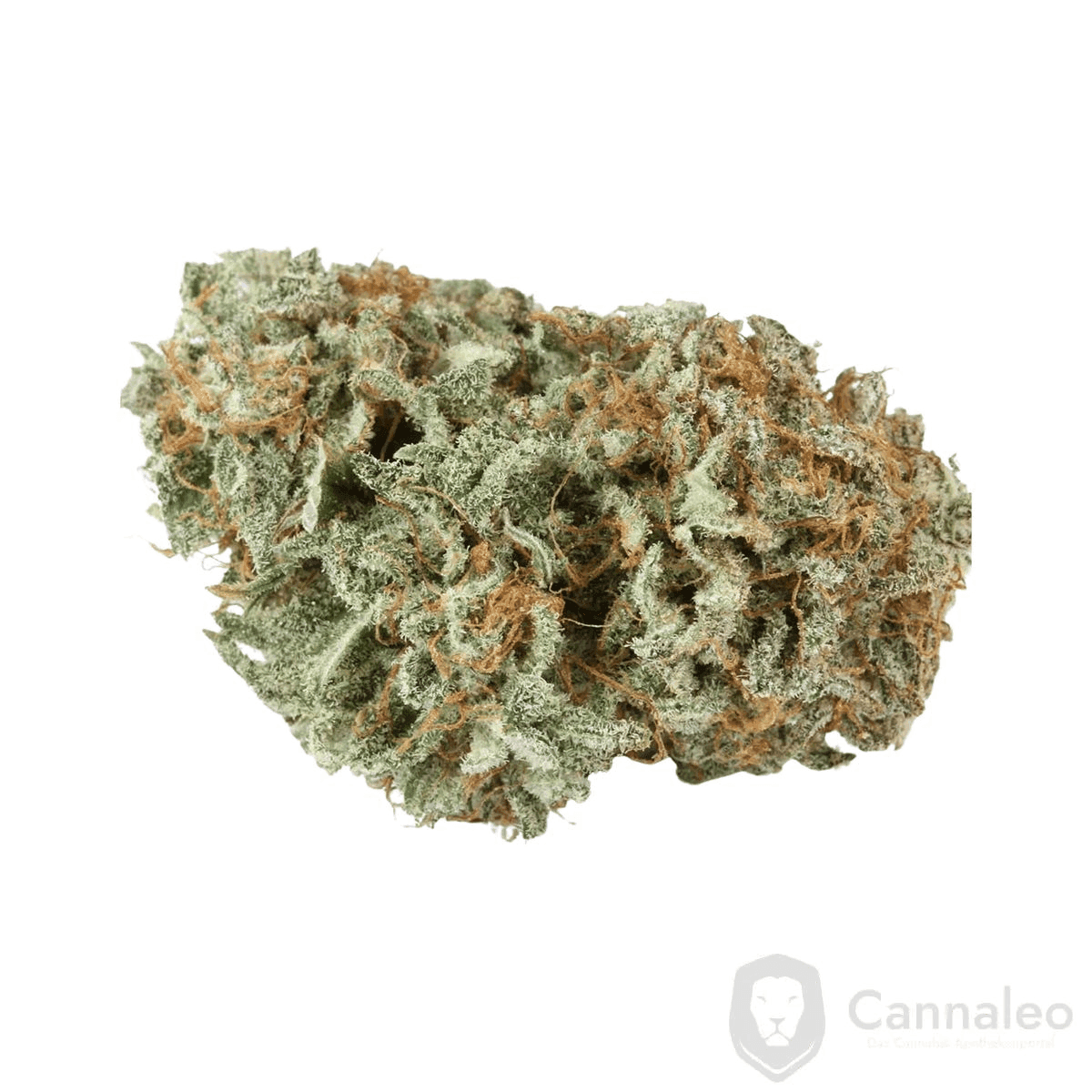 tilray-thc-15-spotlight-porto-master-kush